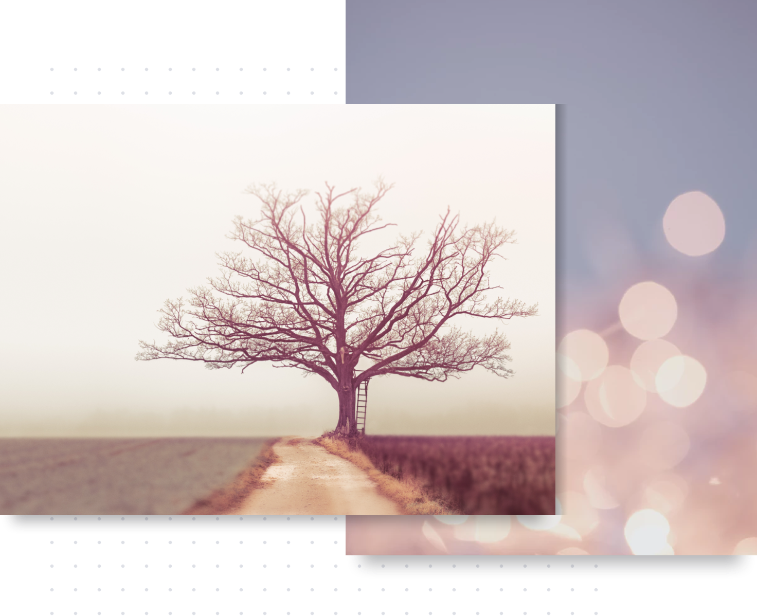 blur background photo editor online