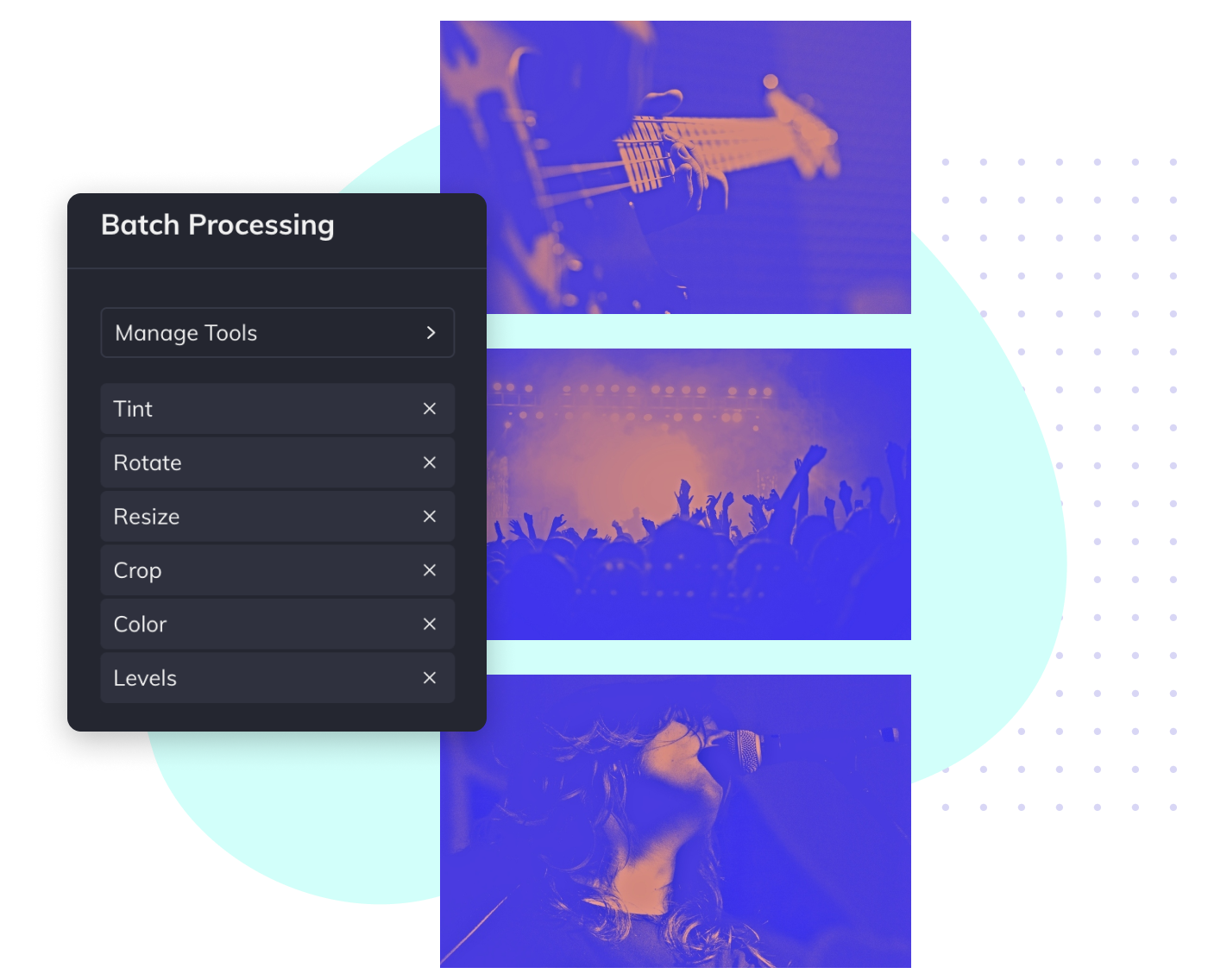 Photo Editor BeFunky Free Online Photo Editing Tools