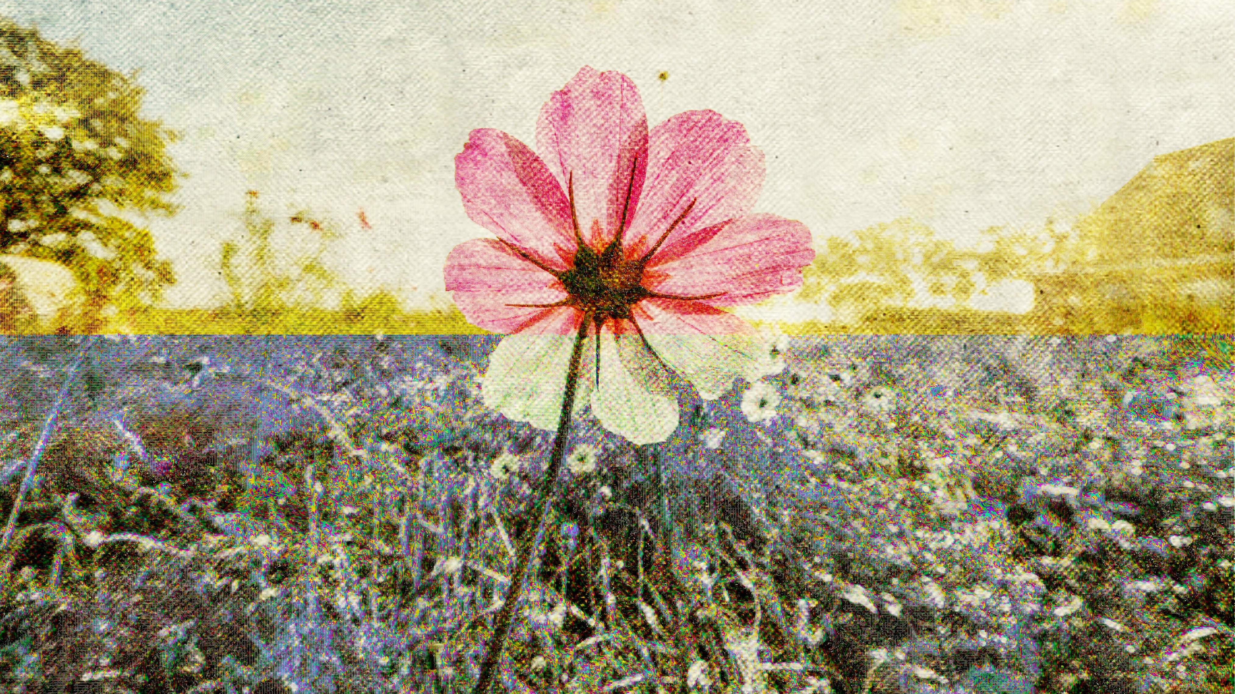 De Foto Para Arte | BeFunky: Transforme Fotos em Pinturas