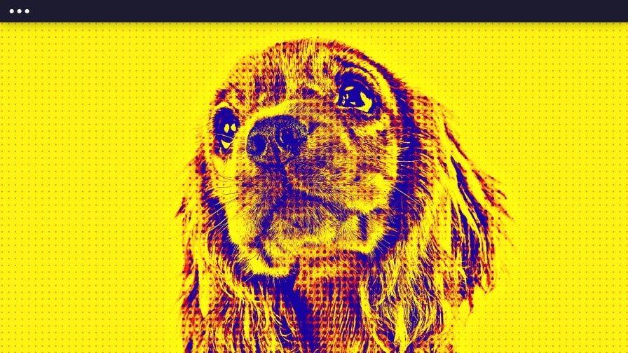Image of a puppy with BeFunky's Pop Art effects applied