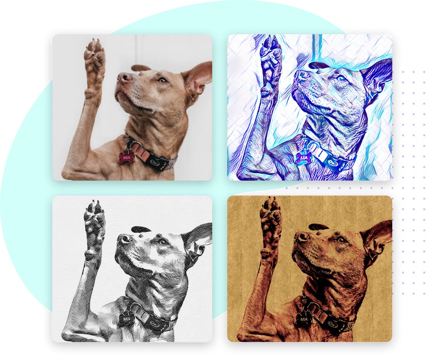 Four photos of a dog with different Sketch Effects applied