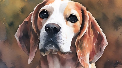 Watercolor GFX effect on portrait of a dog with soft brush strokes and fluid blending of colors