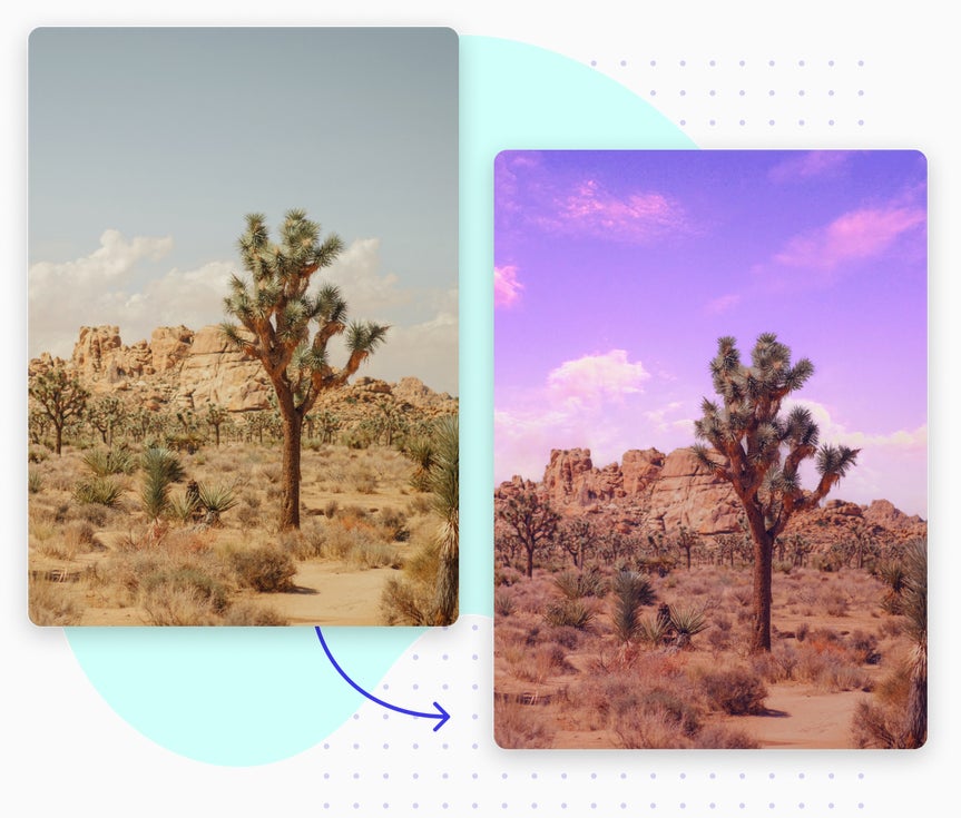 cactus in the desert before and after the sky has been replaced