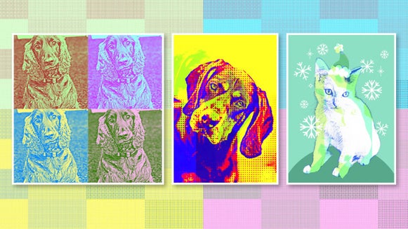 Grid of dog and cat portraits in colorful pop art style with halftone backgrounds