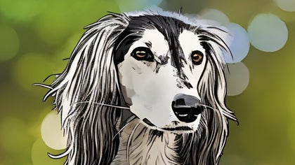 Long-haired dog transformed into a stylized cartoon portrait with soft bokeh background
