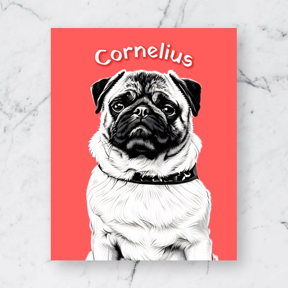 Pet portrait of a pug named Cornelius illustrated using Comic Noir