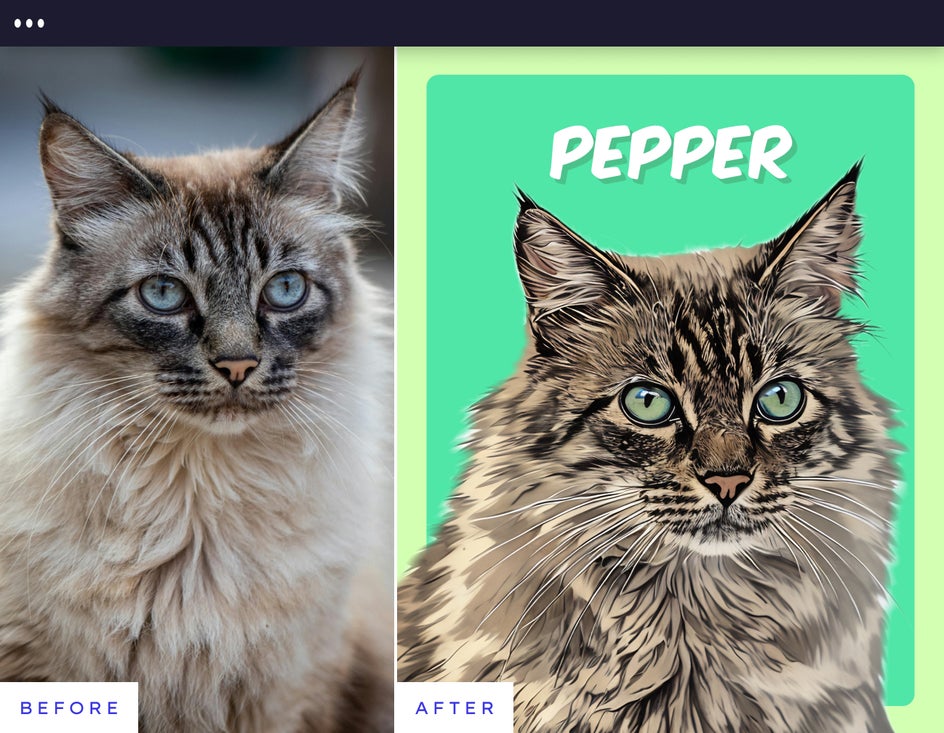 Before and after pet portrait of a fluffy cat transformed into an illustrated design