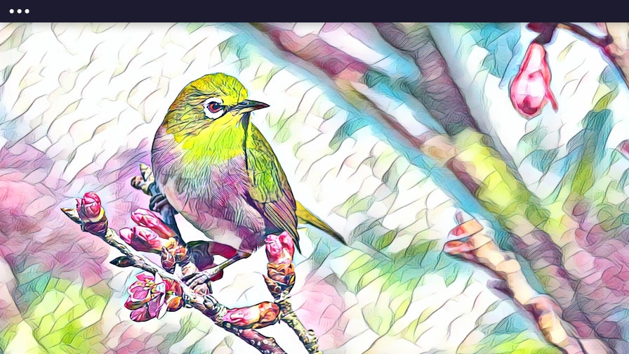 Photo of a bird sitting on a branch with Watercolor DLX 1 Artsy effect applied