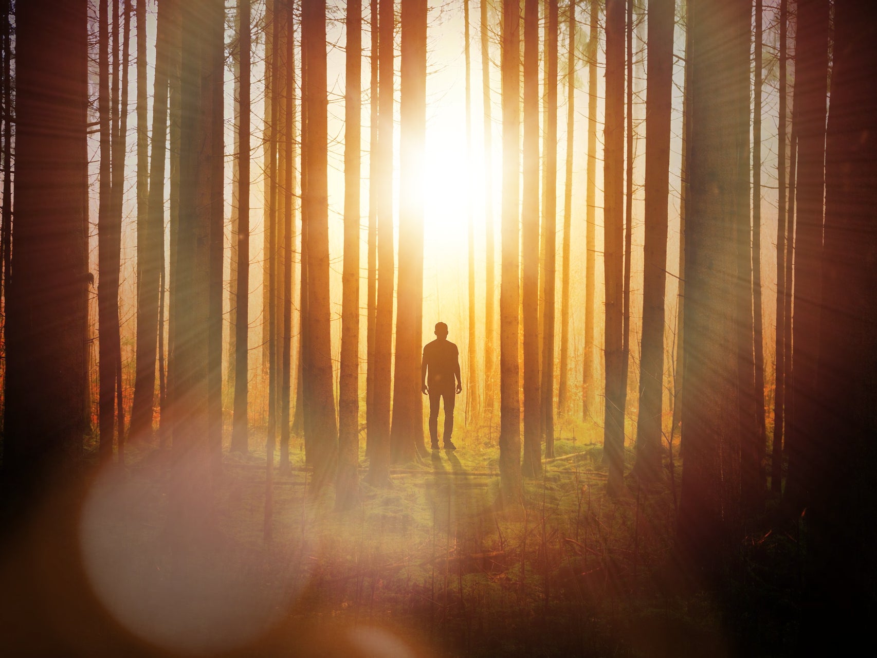 Lens Flare BeFunky Add Unique Lens Flares To Your Photos