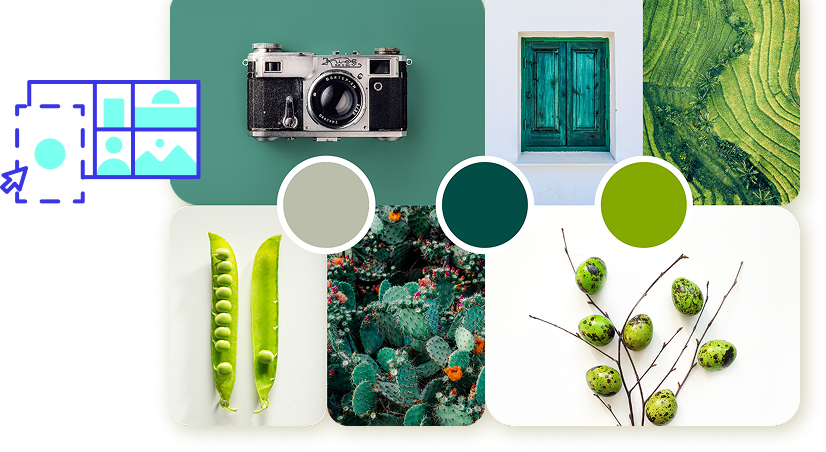 Collage featuring artistic portraits, botanical illustrations, and creative design projects