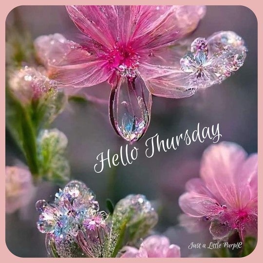 Thursday by Jenfonternel | BeFunky Photo Editor