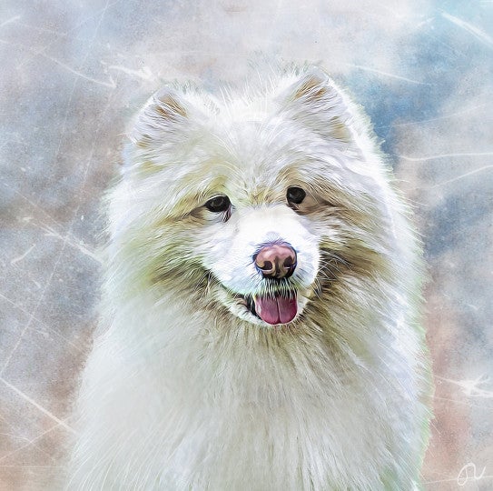 Get your own free pet portrait... by catmarch BeFunky Photo Editor