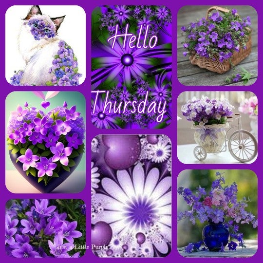 Thursday by Jenfonternel | BeFunky Photo Editor