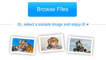 sample_images.jpg