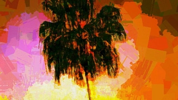 palms-600x450.jpg