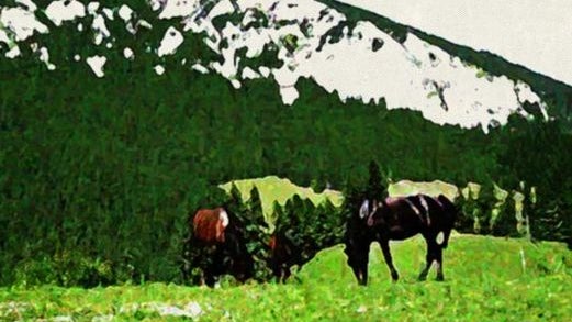 Horses - Oilpainting