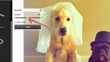 Beautify File Beautify a Photo Online With a Single Click | Learn BeFunky