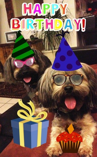 Birthday Dogs