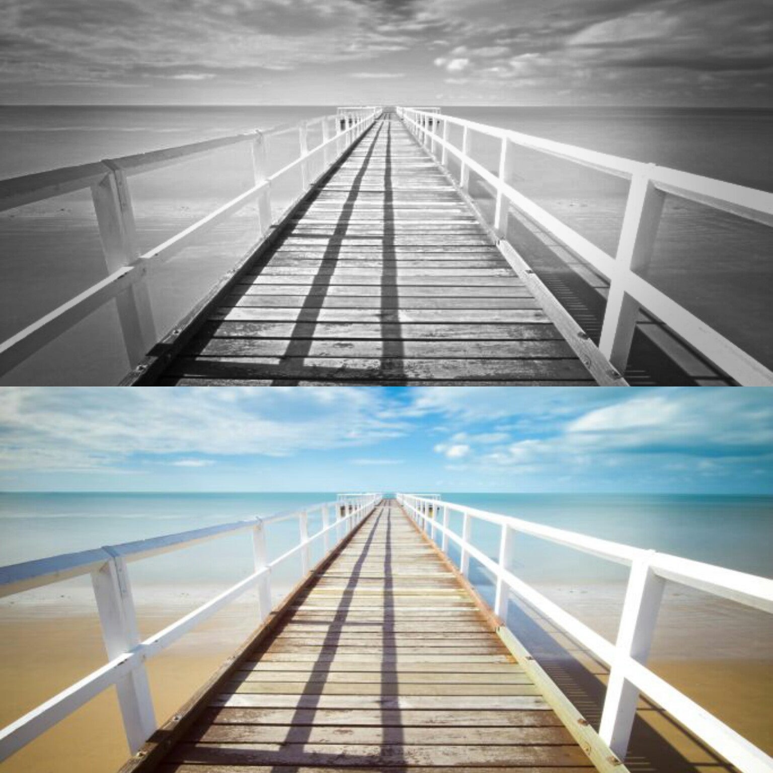 Black & White Photography Filters Mobile Learn BeFunky