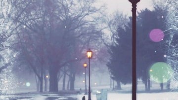 Lamp Post, Nature, Lamp, Outdoors