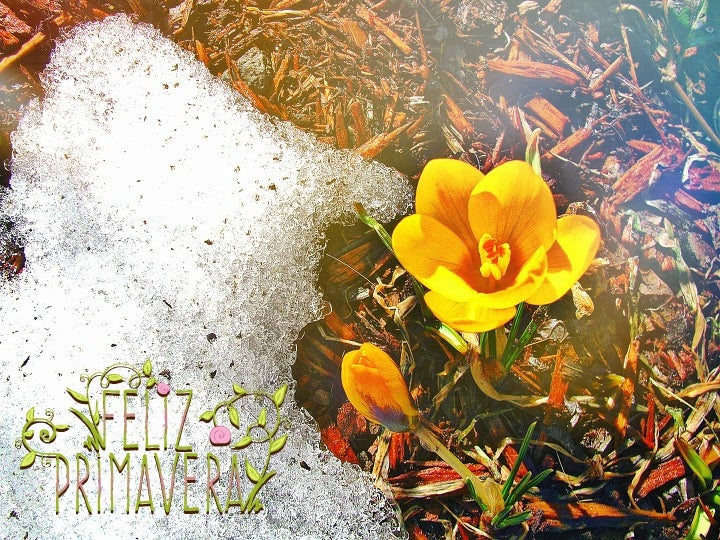 Feliz Primavera