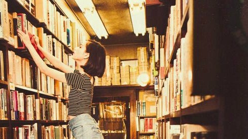 Indoors, Room, Library, Book, Bookstore, Shop