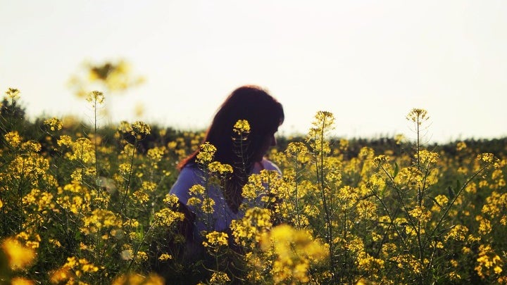 Field, Grassland, Outdoors, Plant, Person, Human