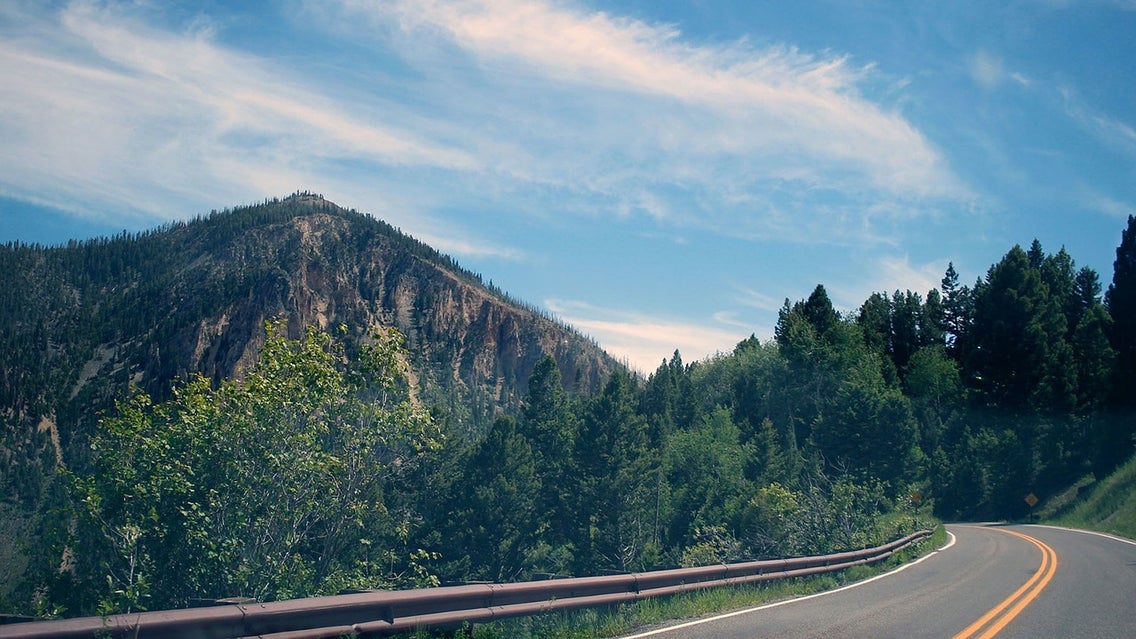 Road, Highway, Freeway, Fir, Abies, Plant