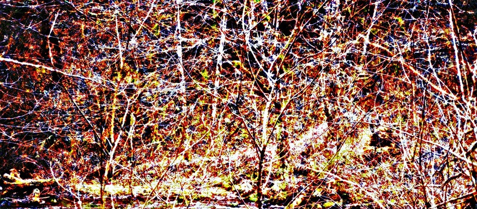 Pollock