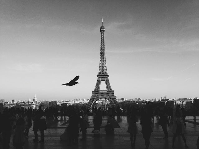 black-and-white-city-bird-people