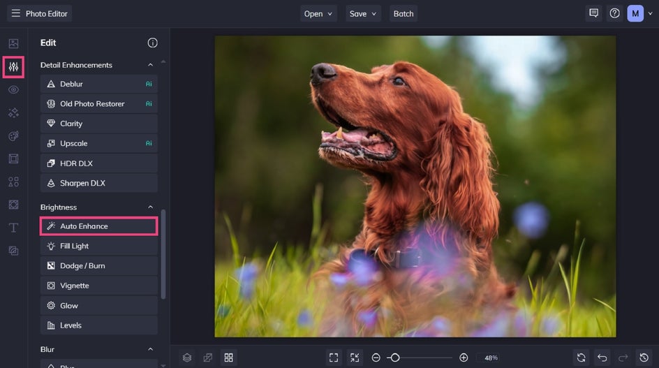 Locating auto enhance in BeFunky