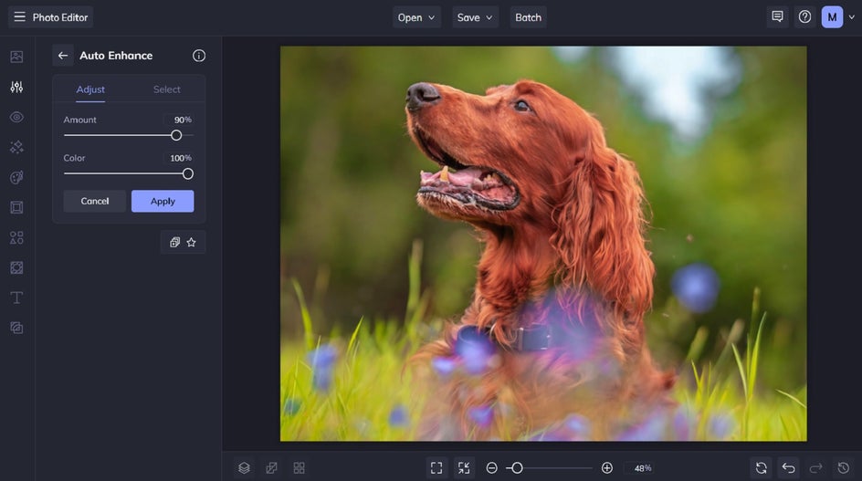 Auto enhancing a photo in BeFunky
