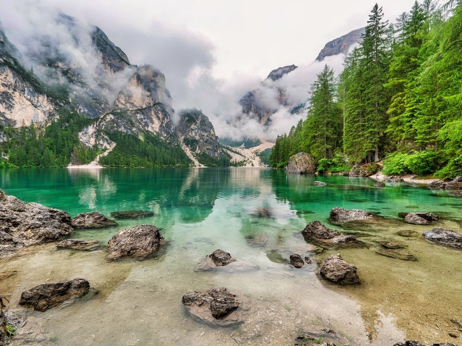 After using the Image Enhancer in BeFunky