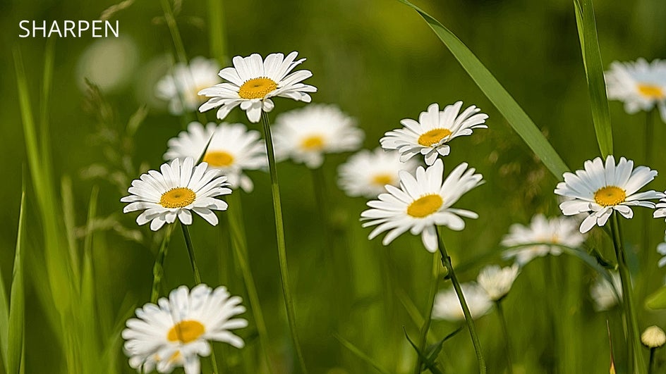 Sharpen vs Clarity Before