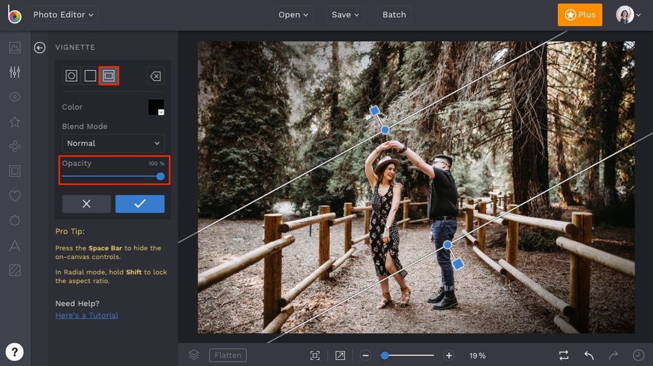 Your Ultimate Guide To Effects Learn BeFunky