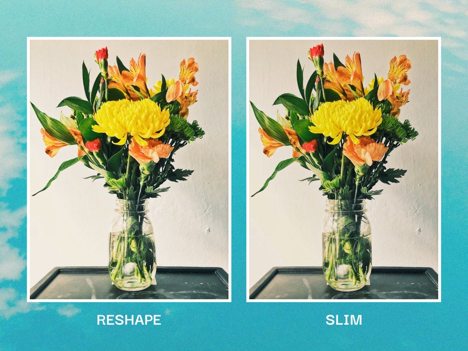 Reshape tool vs Slim tool examples shown applied to a flower vase