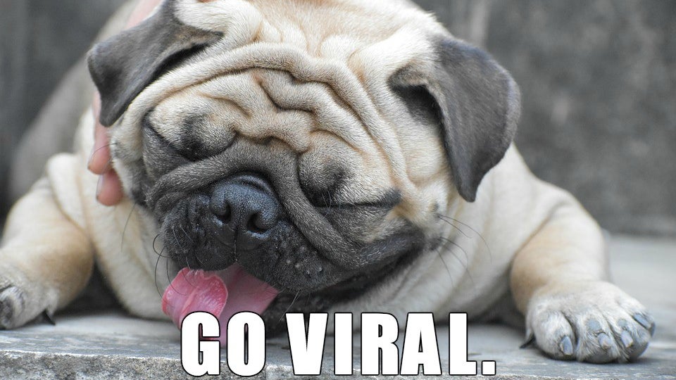 Turn Befunky Into Your Own Meme Generator Learn Befunky