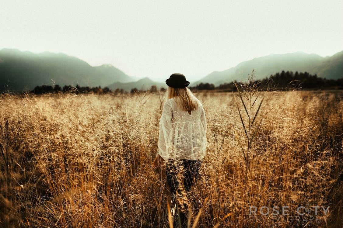 Should You Watermark Your Photos? Learn BeFunky