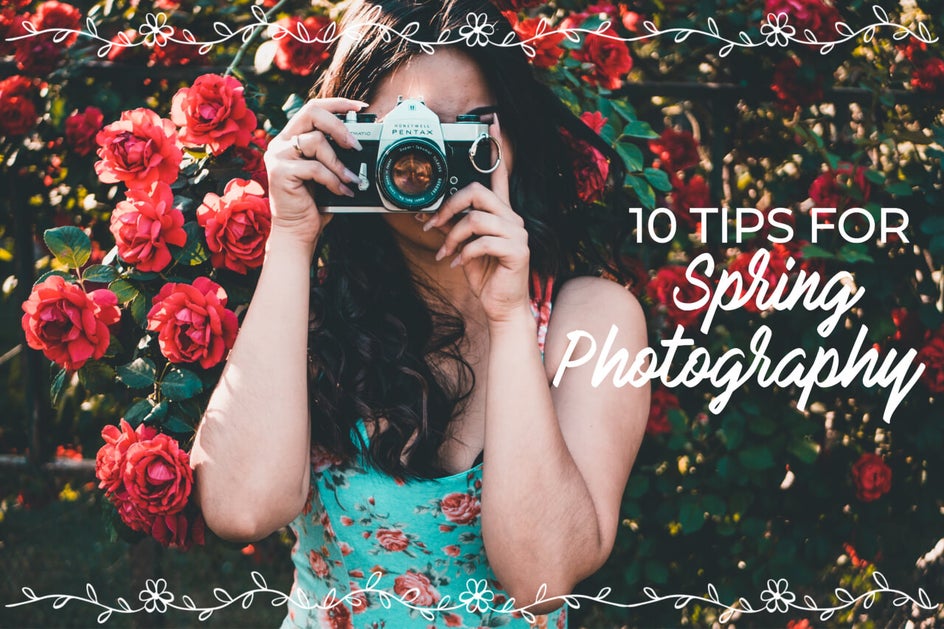 how to create unique blog image titles in BeFunky