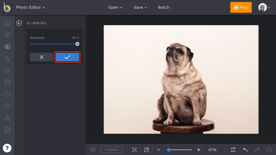 How To Reshape Photos With The Slimming Tool Learn BeFunky
