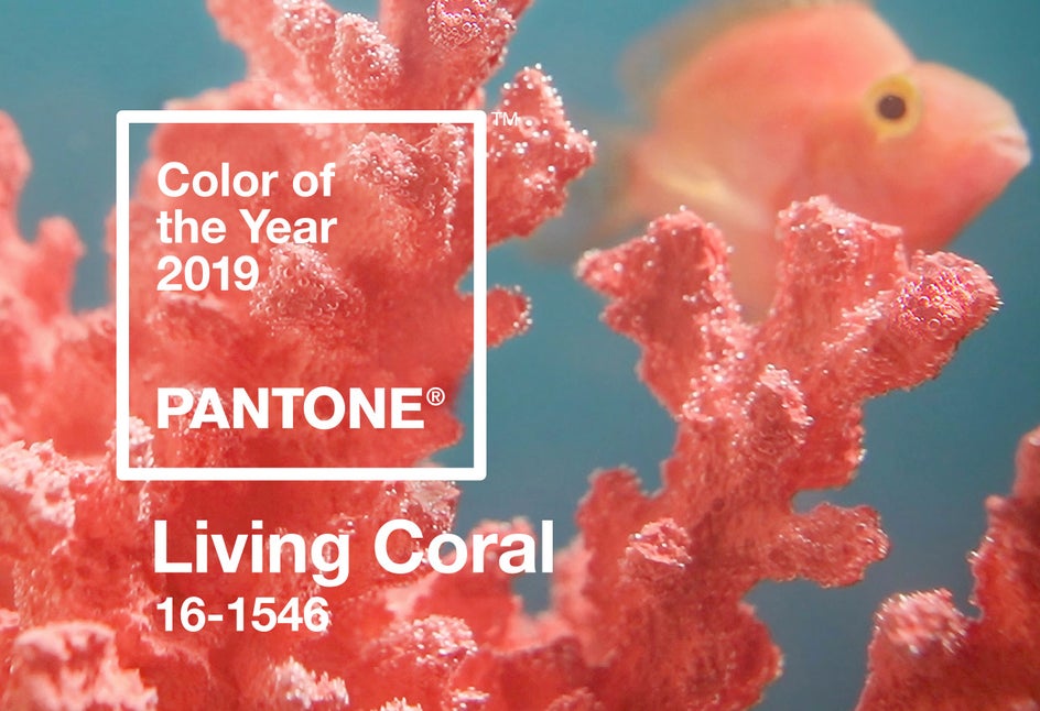pantone color of the year 2019