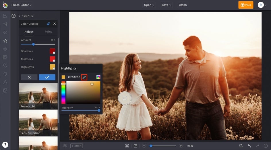 how to make photo filter presets in BeFunky
