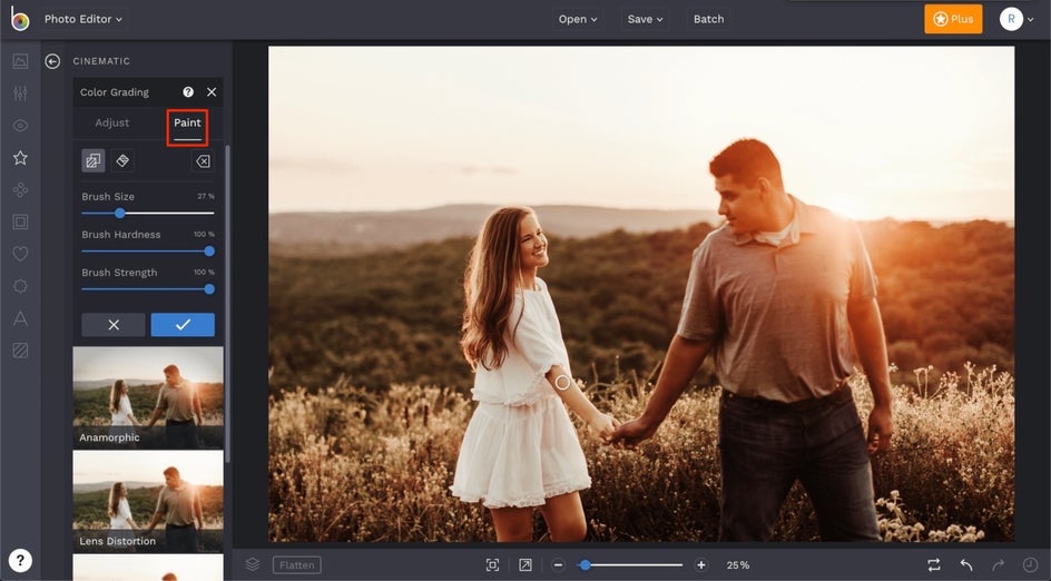 how to use the Color Grading tool in BeFunky