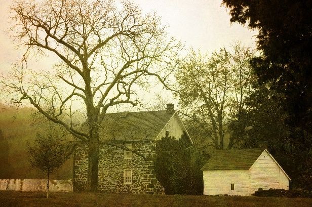 Cottage, Housing, Building, House, Tree, Plant