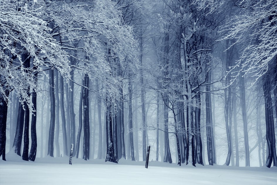 how to make winter photography look cooler