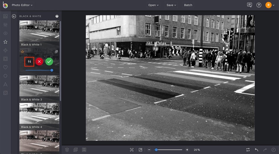 black and white photo filters by BeFunky 