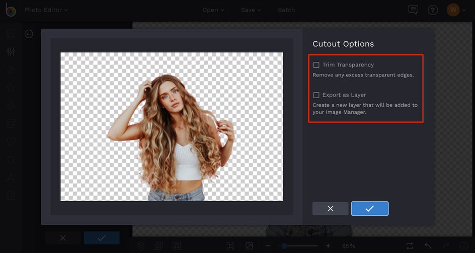 The 3 Best Tools To Remove Backgrounds In Photos | Learn BeFunky