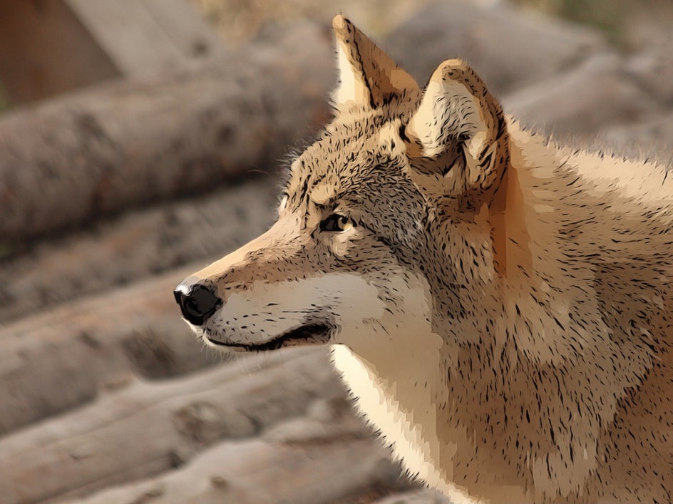 add artsy to subject after