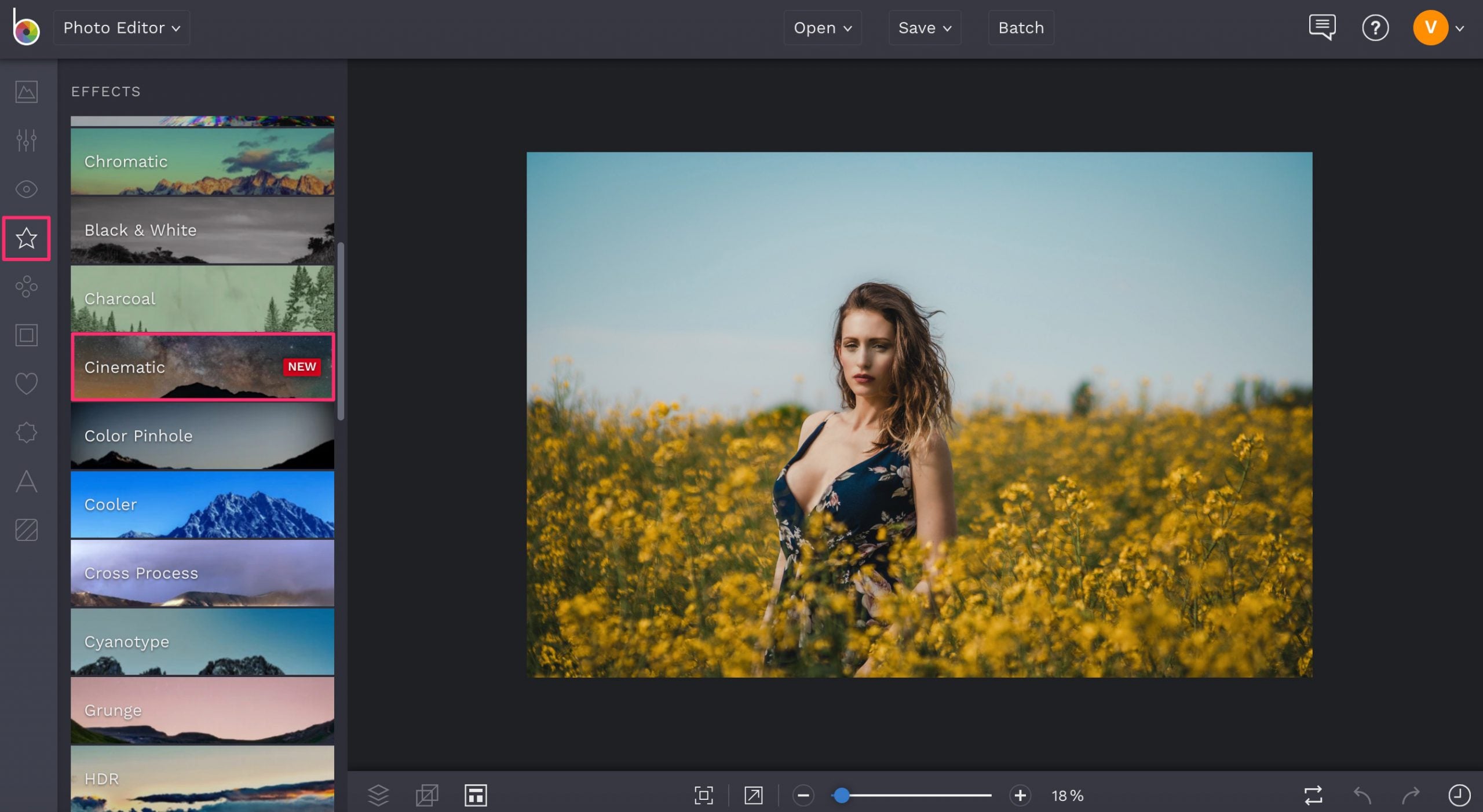 How To Add Film Grain To Photos For A Vintage Look Learn BeFunky