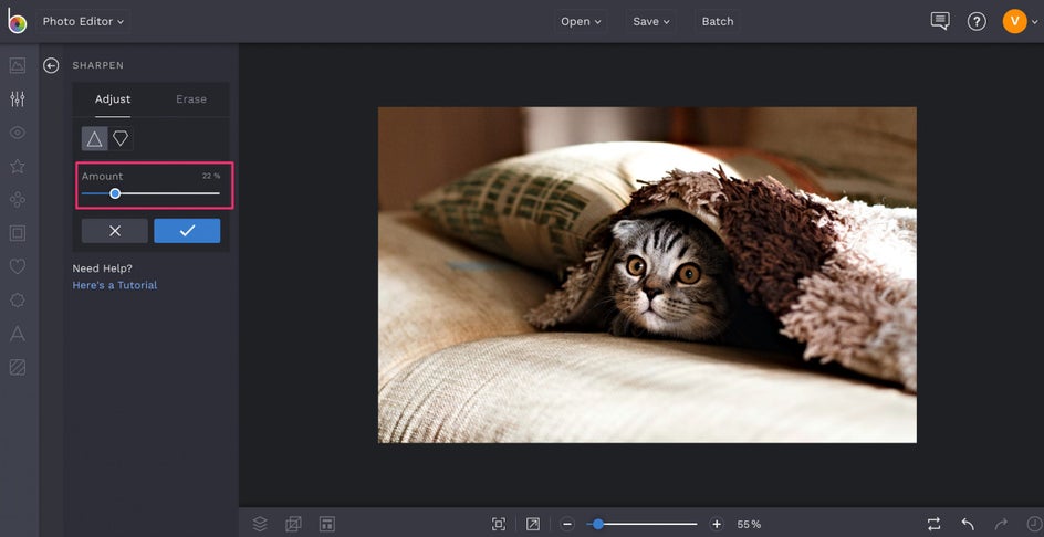 Bring Clarity To Your Photos With Sharpen Learn Befunky